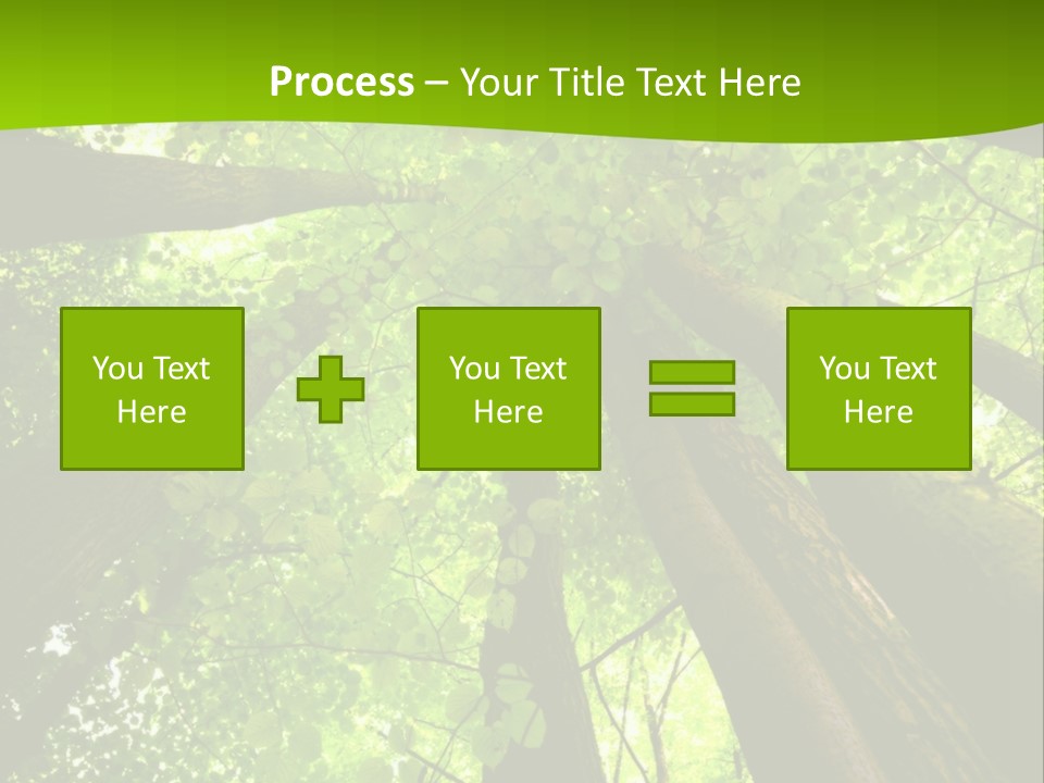 A Green Forest Powerpoint Presentation Template PowerPoint Template