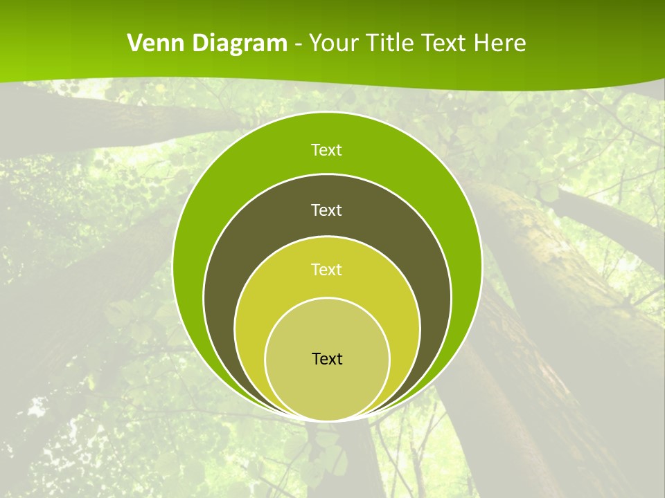 A Green Forest Powerpoint Presentation Template PowerPoint Template