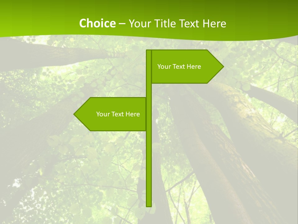 A Green Forest Powerpoint Presentation Template PowerPoint Template
