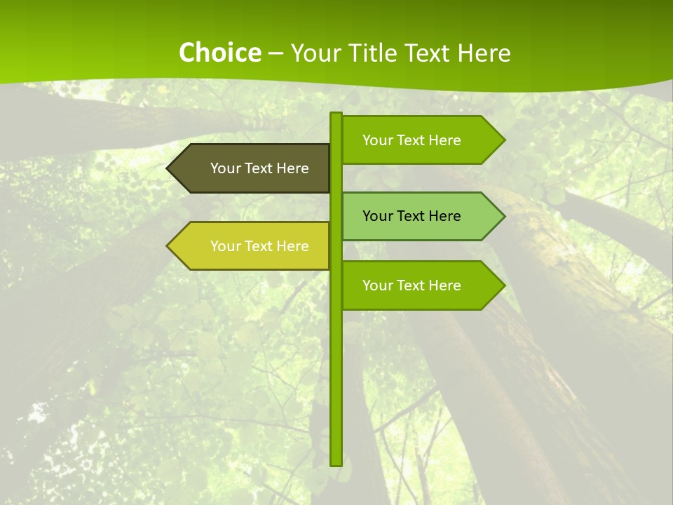 A Green Forest Powerpoint Presentation Template PowerPoint Template