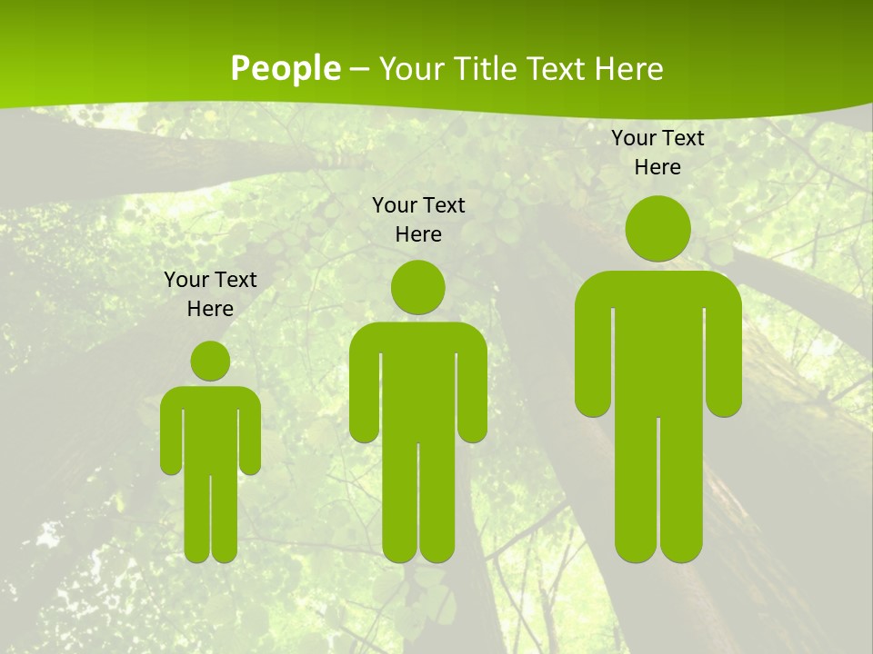A Green Forest Powerpoint Presentation Template PowerPoint Template