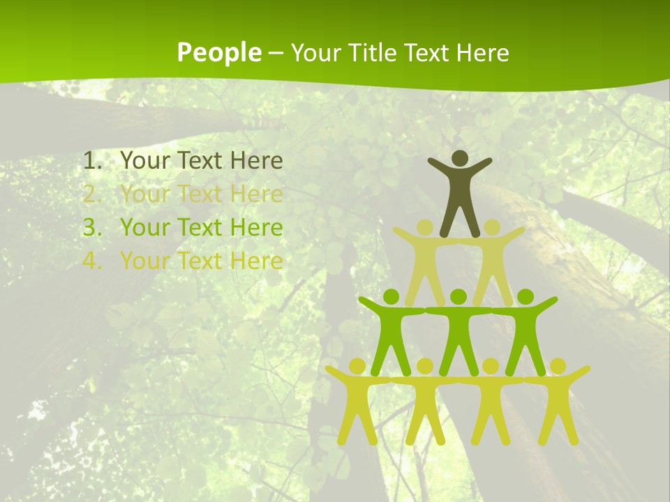 A Green Forest Powerpoint Presentation Template PowerPoint Template