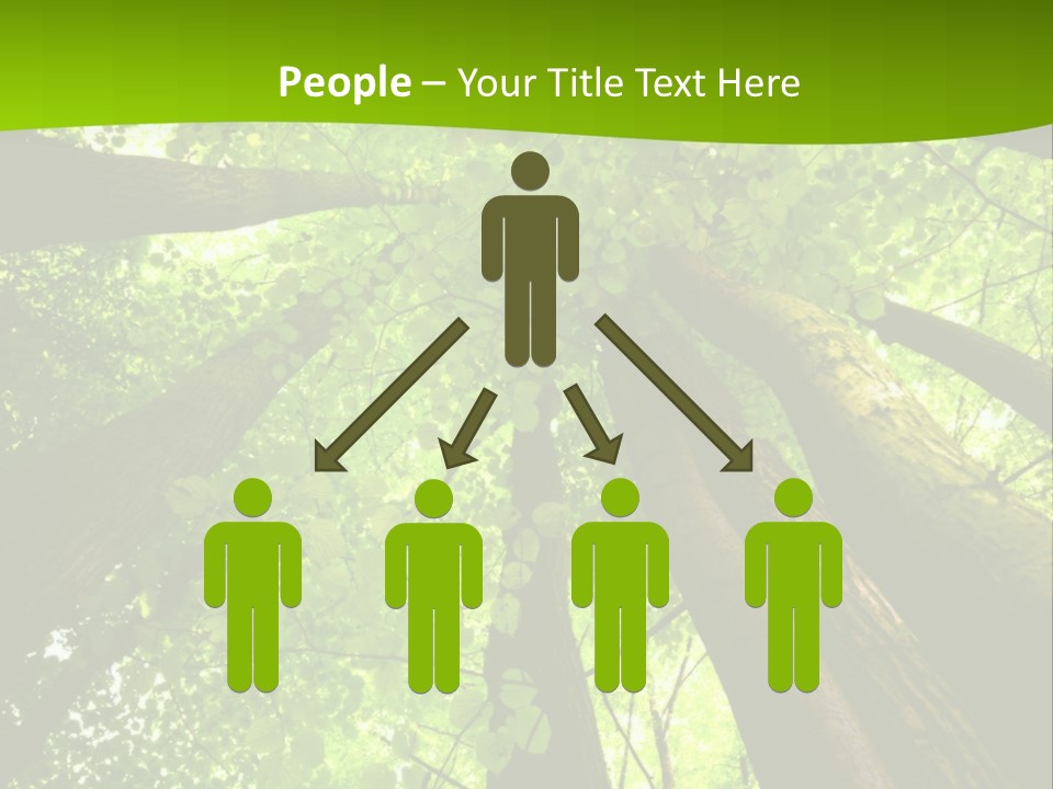 A Green Forest Powerpoint Presentation Template PowerPoint Template