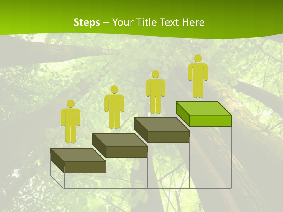 A Green Forest Powerpoint Presentation Template PowerPoint Template