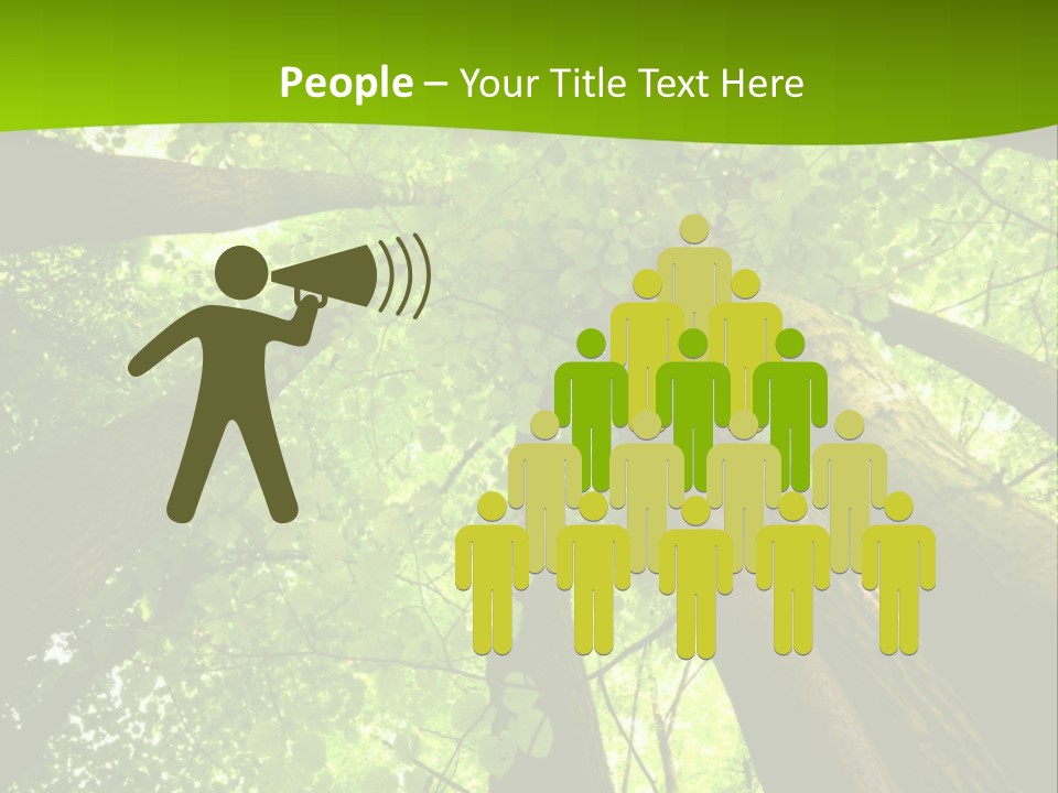 A Green Forest Powerpoint Presentation Template PowerPoint Template