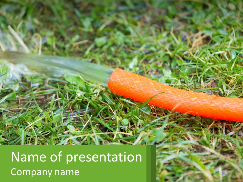 A Carrot Laying On The Ground With A Hose Attached To It PowerPoint Template