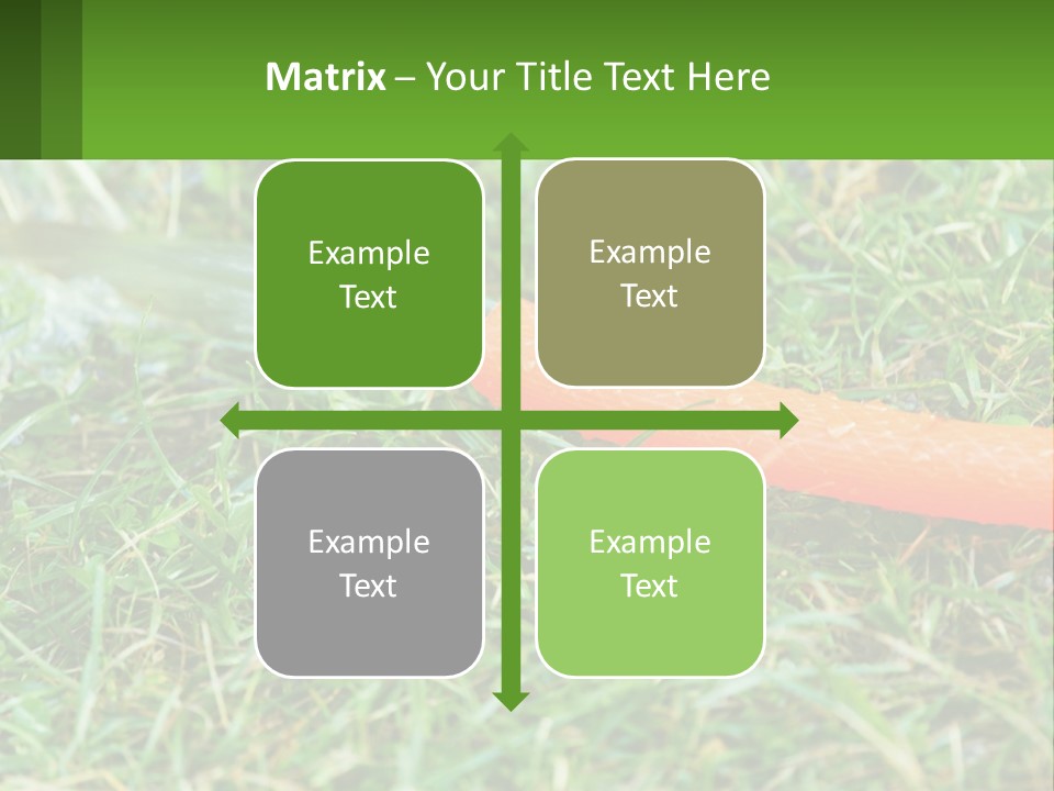 A Carrot Laying On The Ground With A Hose Attached To It PowerPoint Template