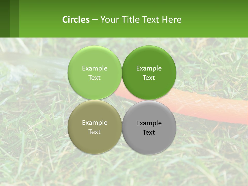 A Carrot Laying On The Ground With A Hose Attached To It PowerPoint Template