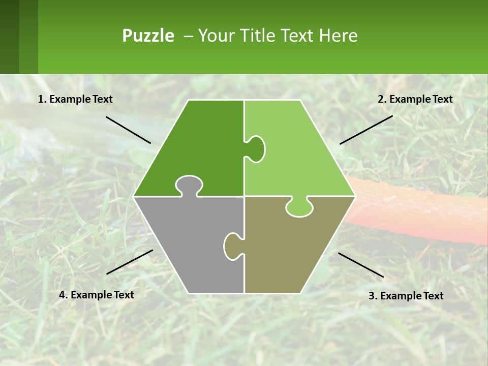 A Carrot Laying On The Ground With A Hose Attached To It PowerPoint Template