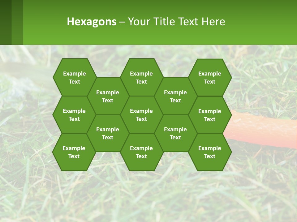 A Carrot Laying On The Ground With A Hose Attached To It PowerPoint Template