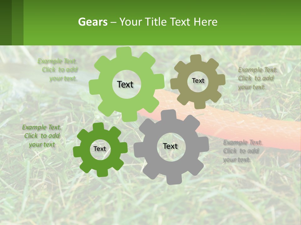 A Carrot Laying On The Ground With A Hose Attached To It PowerPoint Template