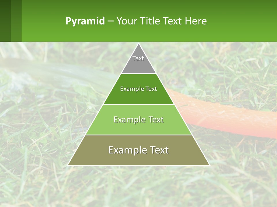 A Carrot Laying On The Ground With A Hose Attached To It PowerPoint Template