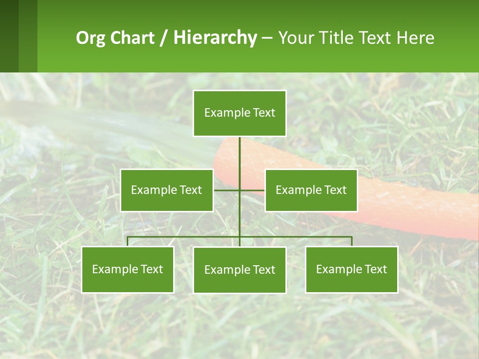 A Carrot Laying On The Ground With A Hose Attached To It PowerPoint Template