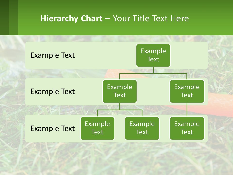 A Carrot Laying On The Ground With A Hose Attached To It PowerPoint Template