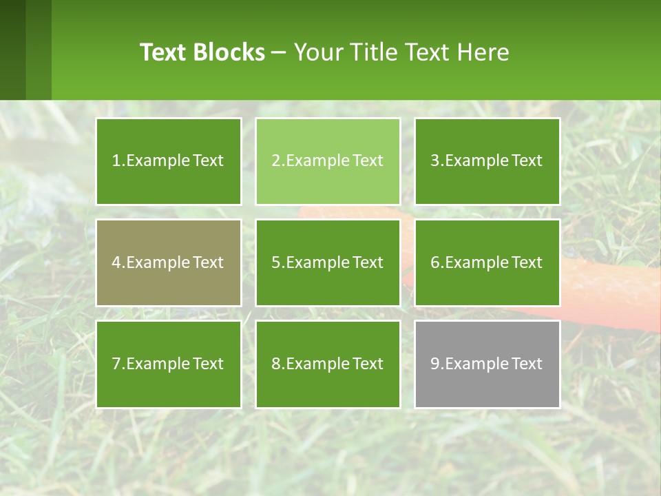 A Carrot Laying On The Ground With A Hose Attached To It PowerPoint Template