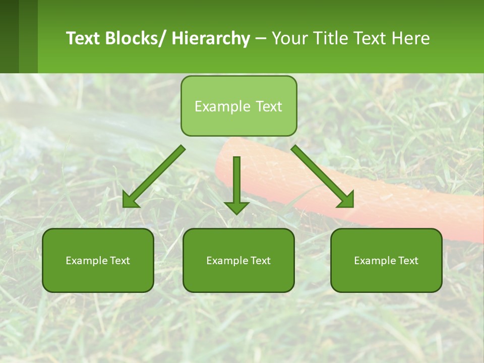 A Carrot Laying On The Ground With A Hose Attached To It PowerPoint Template
