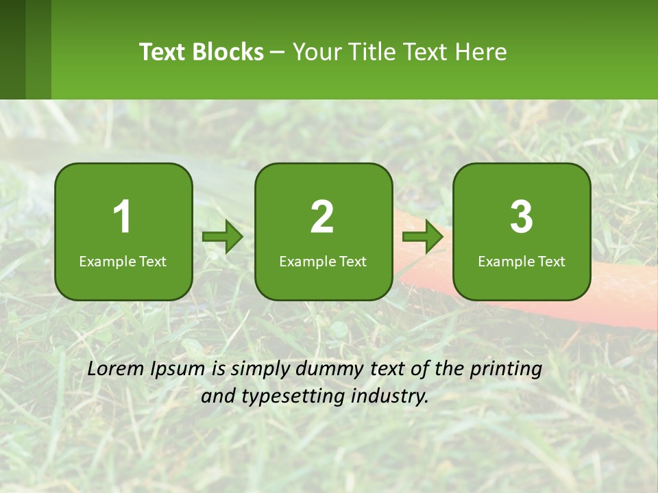 A Carrot Laying On The Ground With A Hose Attached To It PowerPoint Template