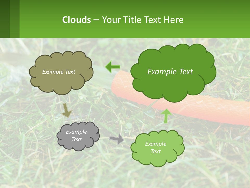 A Carrot Laying On The Ground With A Hose Attached To It PowerPoint Template