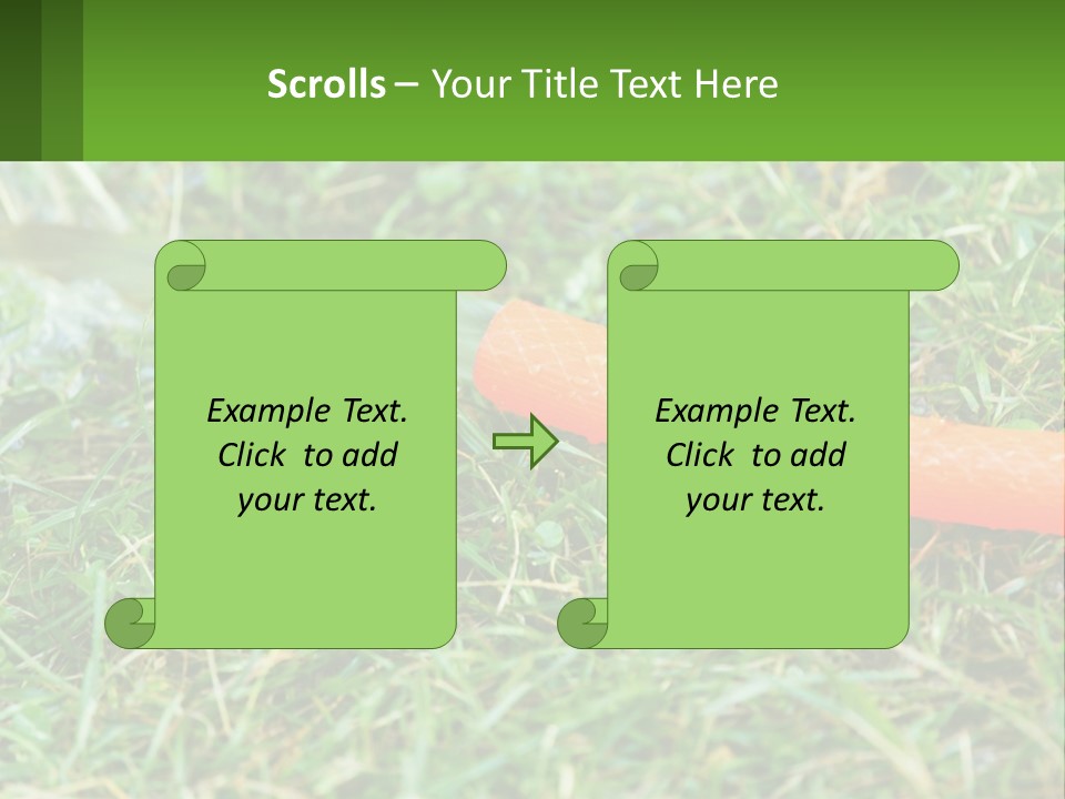A Carrot Laying On The Ground With A Hose Attached To It PowerPoint Template