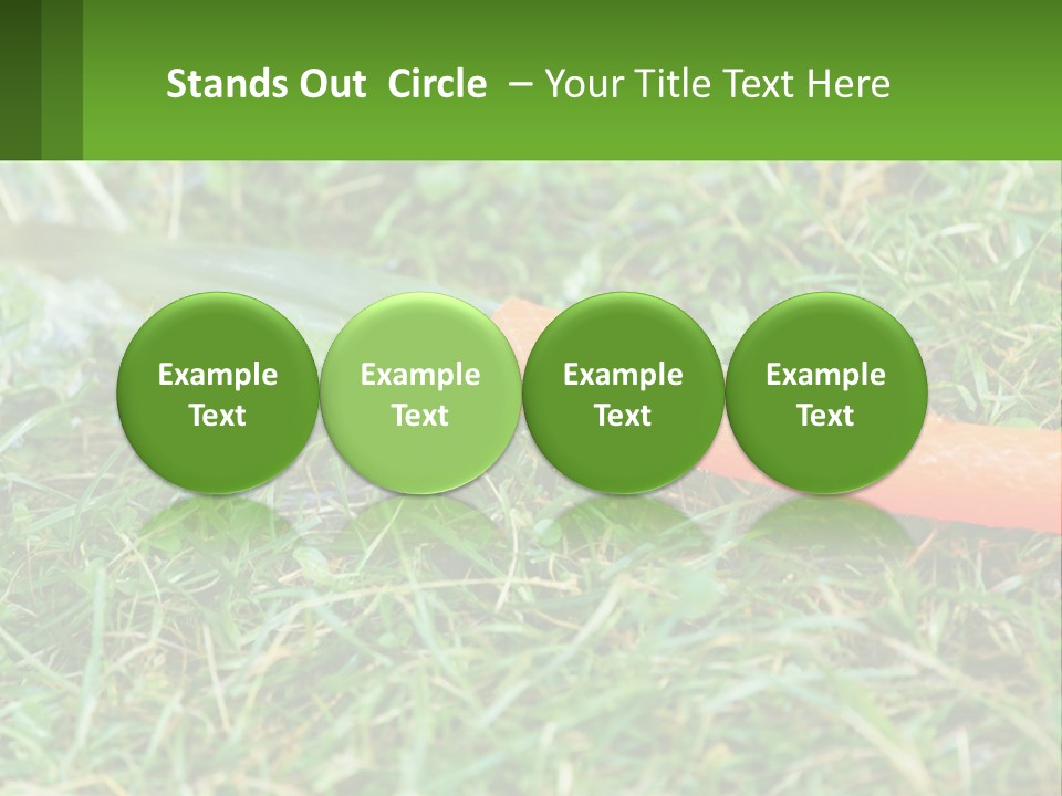 A Carrot Laying On The Ground With A Hose Attached To It PowerPoint Template