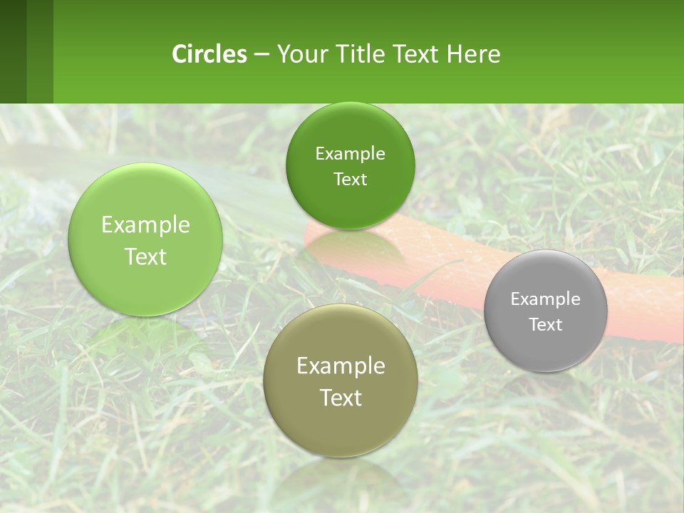 A Carrot Laying On The Ground With A Hose Attached To It PowerPoint Template