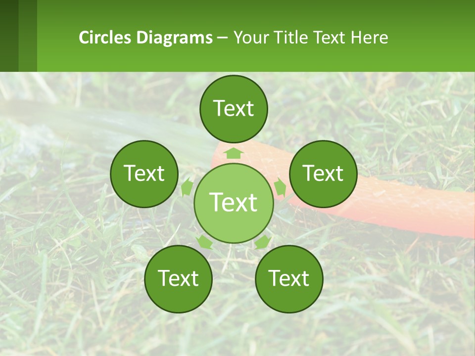 A Carrot Laying On The Ground With A Hose Attached To It PowerPoint Template