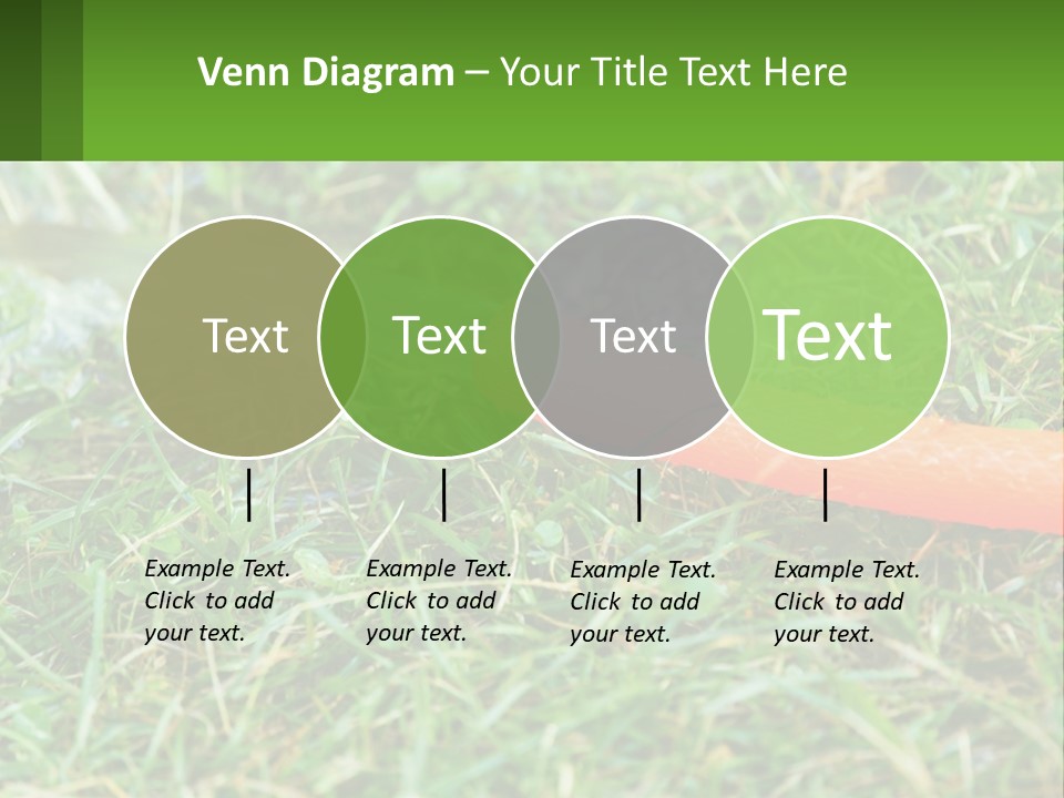 A Carrot Laying On The Ground With A Hose Attached To It PowerPoint Template