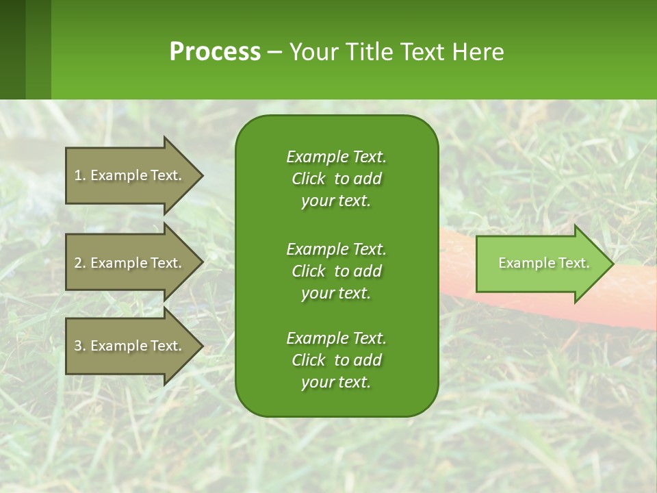 A Carrot Laying On The Ground With A Hose Attached To It PowerPoint Template