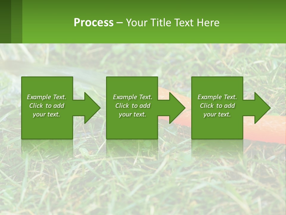 A Carrot Laying On The Ground With A Hose Attached To It PowerPoint Template