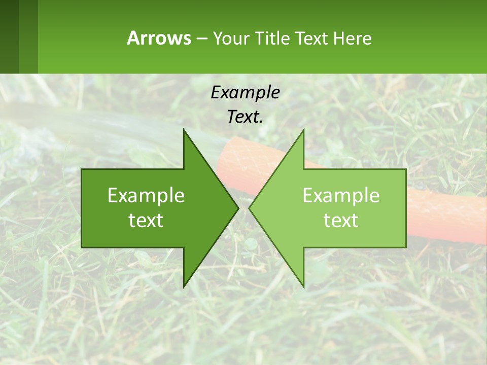 A Carrot Laying On The Ground With A Hose Attached To It PowerPoint Template