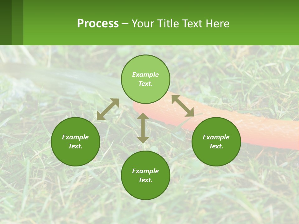 A Carrot Laying On The Ground With A Hose Attached To It PowerPoint Template