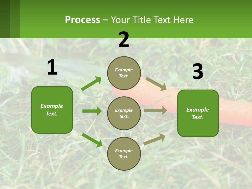 A Carrot Laying On The Ground With A Hose Attached To It PowerPoint Template