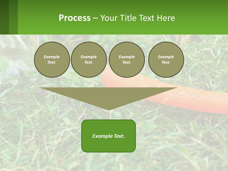 A Carrot Laying On The Ground With A Hose Attached To It PowerPoint Template
