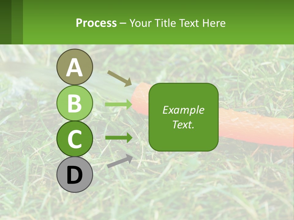 A Carrot Laying On The Ground With A Hose Attached To It PowerPoint Template