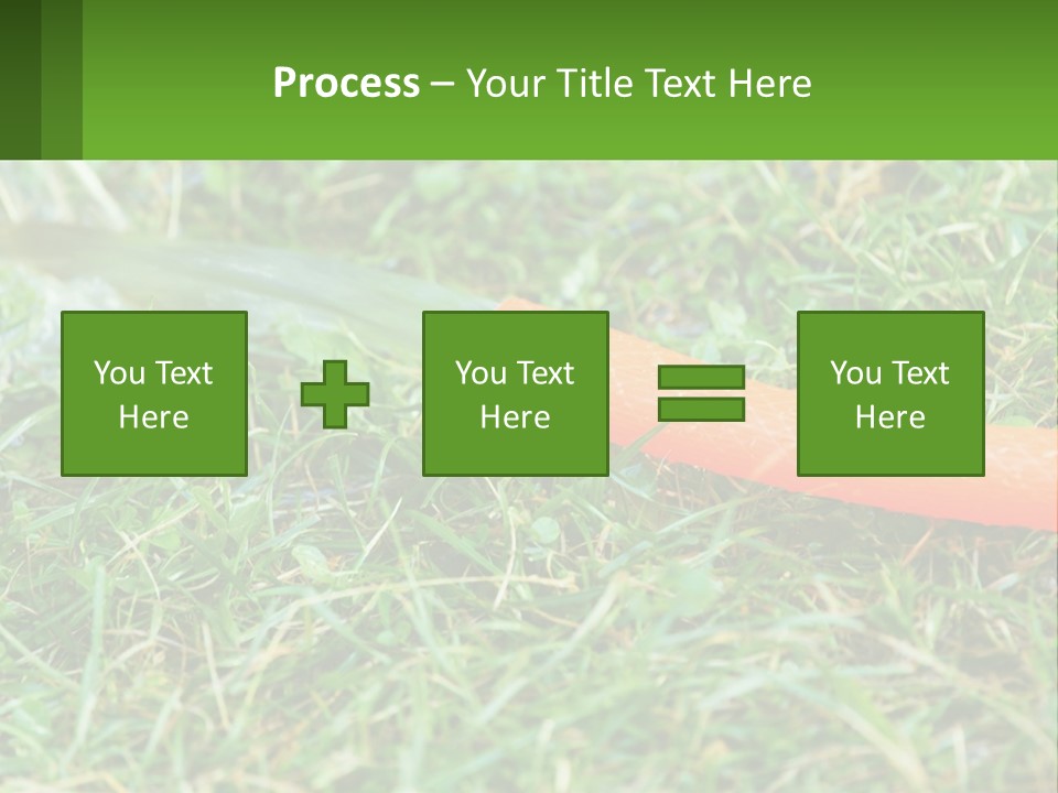 A Carrot Laying On The Ground With A Hose Attached To It PowerPoint Template