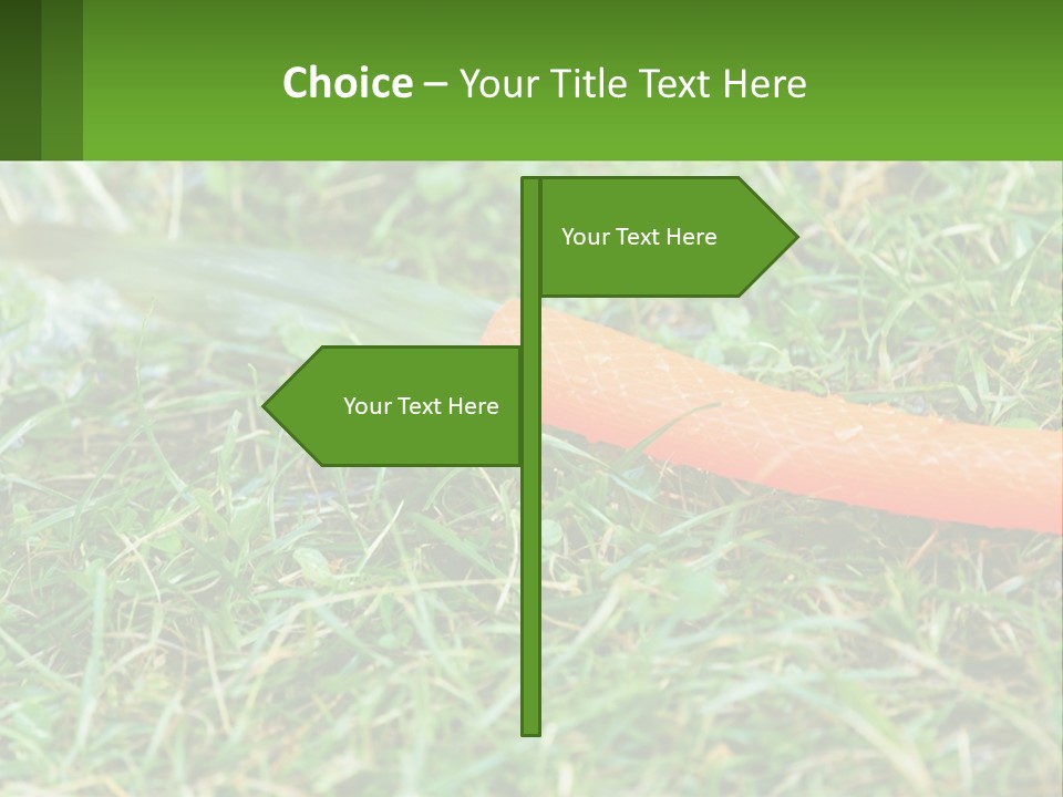 A Carrot Laying On The Ground With A Hose Attached To It PowerPoint Template