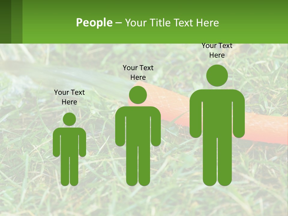 A Carrot Laying On The Ground With A Hose Attached To It PowerPoint Template