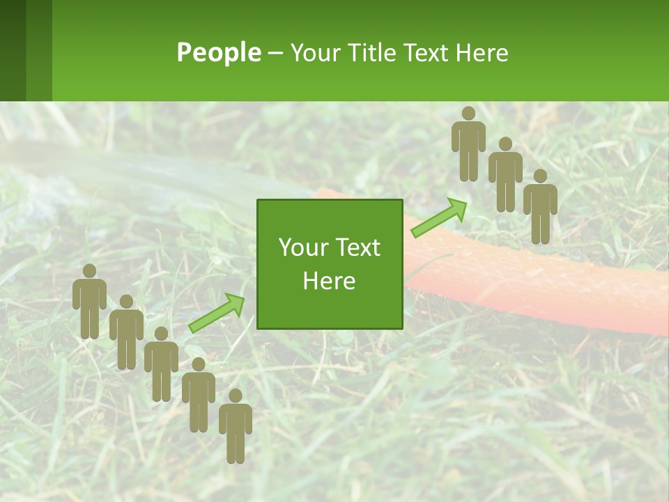 A Carrot Laying On The Ground With A Hose Attached To It PowerPoint Template