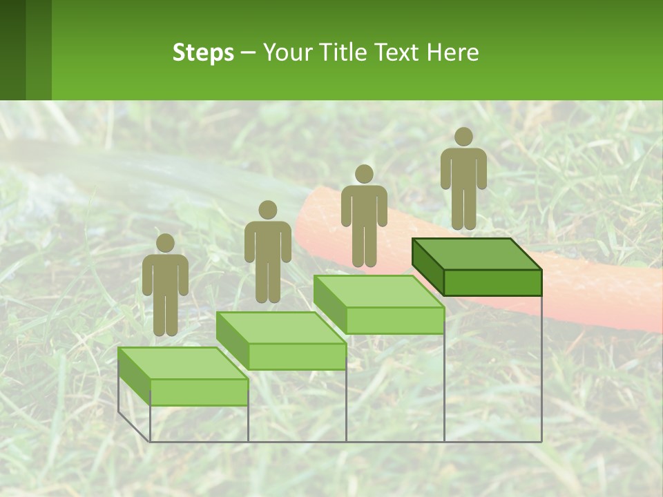 A Carrot Laying On The Ground With A Hose Attached To It PowerPoint Template