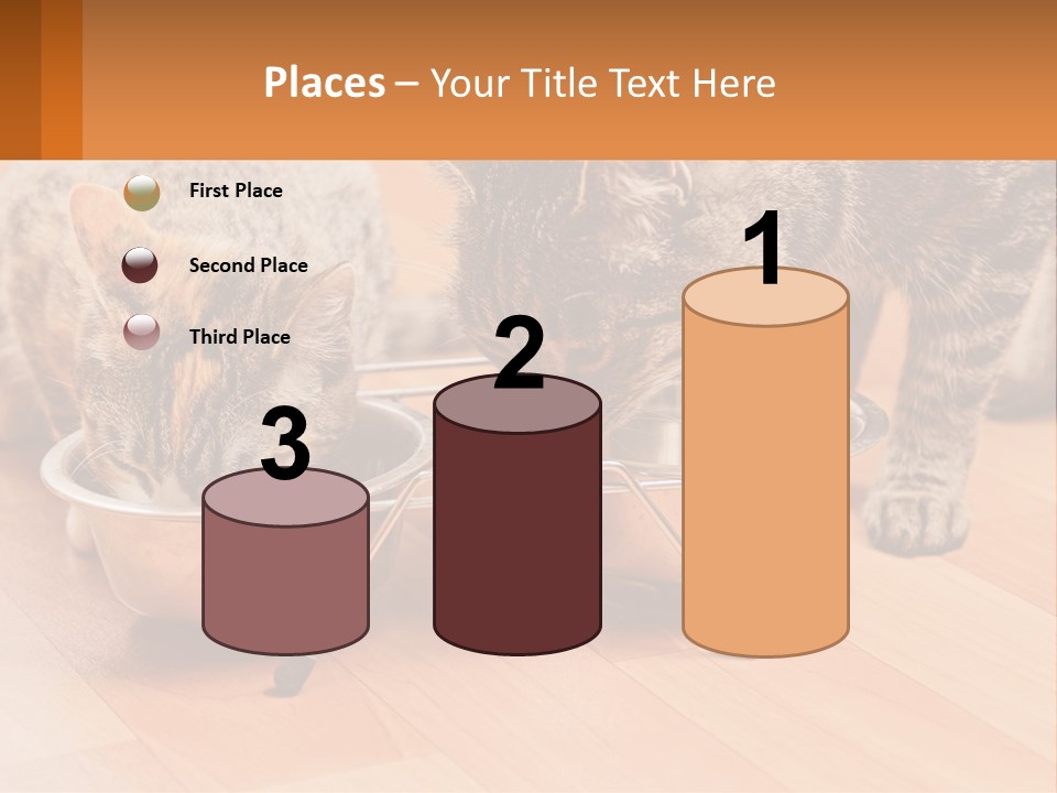 Two Cats Eating Out Of A Metal Bowl PowerPoint Template