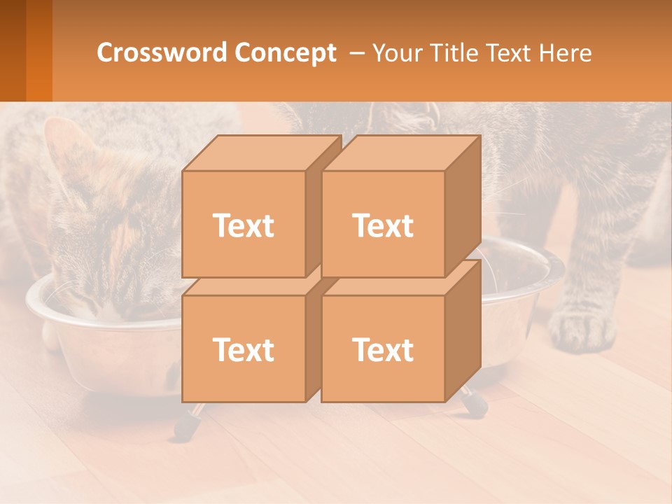 Two Cats Eating Out Of A Metal Bowl PowerPoint Template