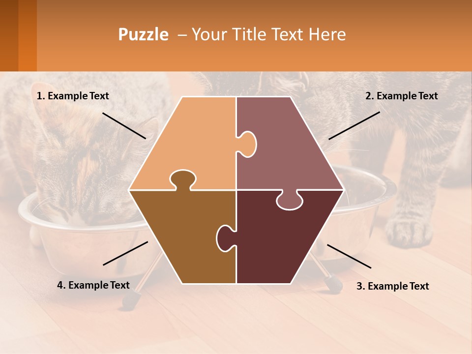 Two Cats Eating Out Of A Metal Bowl PowerPoint Template