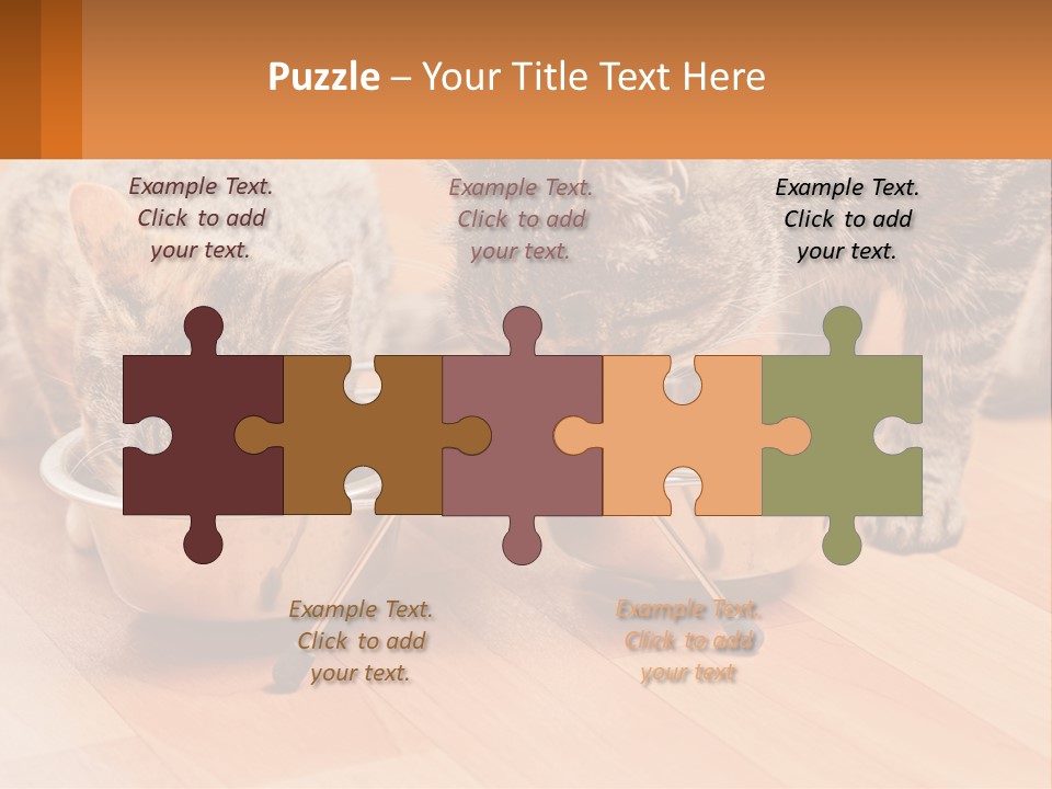 Two Cats Eating Out Of A Metal Bowl PowerPoint Template