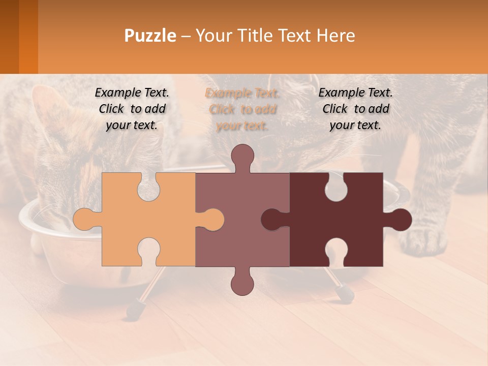 Two Cats Eating Out Of A Metal Bowl PowerPoint Template