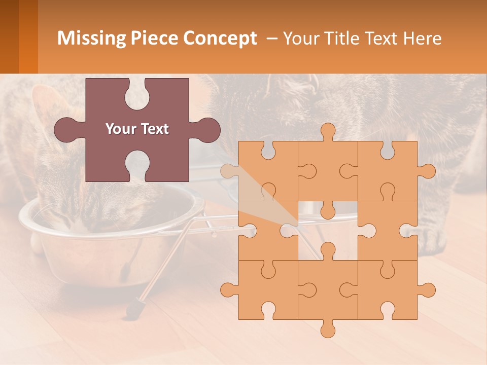 Two Cats Eating Out Of A Metal Bowl PowerPoint Template