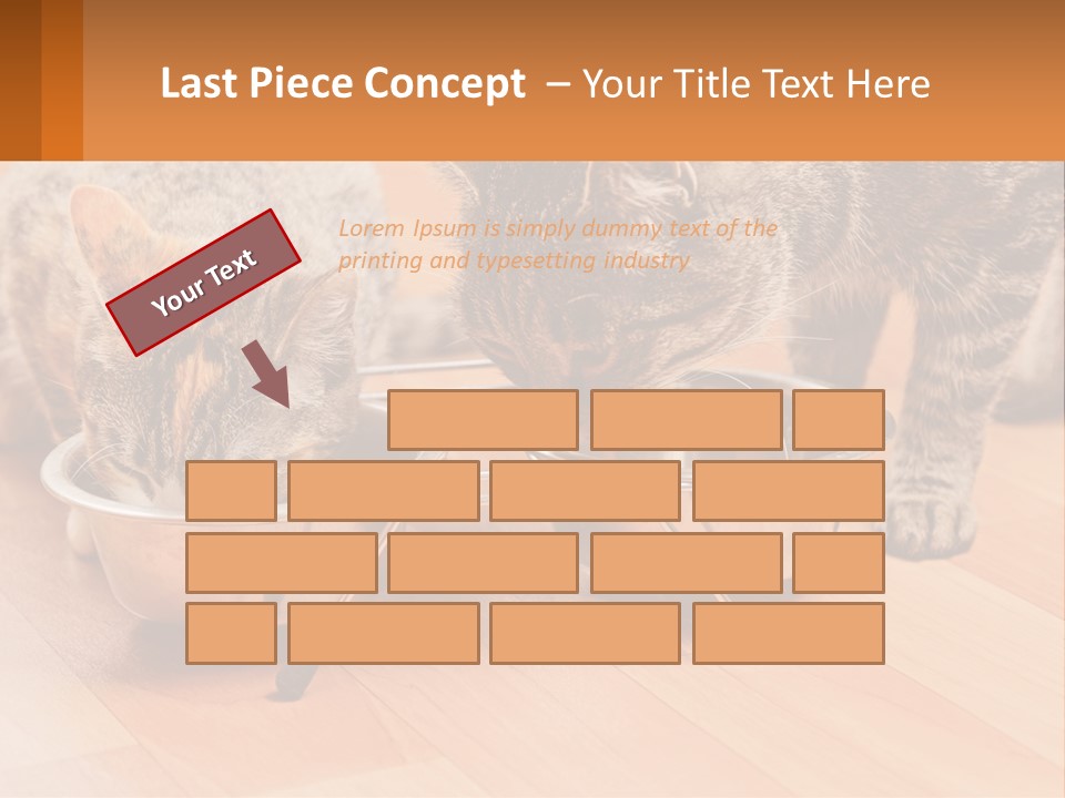 Two Cats Eating Out Of A Metal Bowl PowerPoint Template