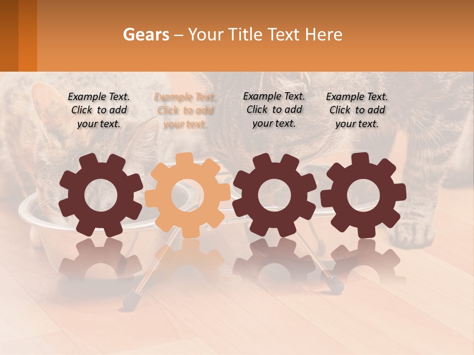 Two Cats Eating Out Of A Metal Bowl PowerPoint Template