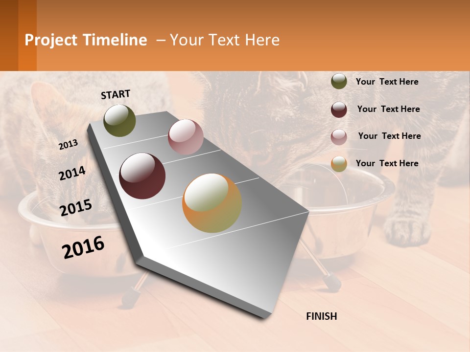 Two Cats Eating Out Of A Metal Bowl PowerPoint Template