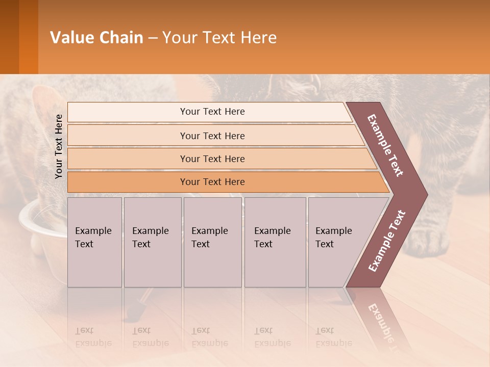 Two Cats Eating Out Of A Metal Bowl PowerPoint Template