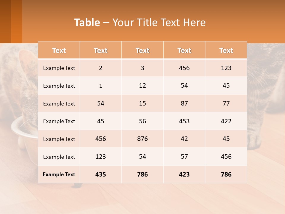 Two Cats Eating Out Of A Metal Bowl PowerPoint Template